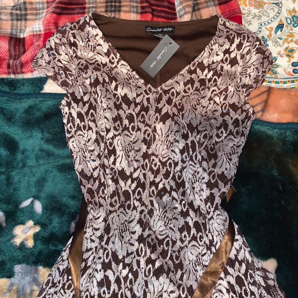 Brand new brown dress. Was my mothers but she passed before she could use it.